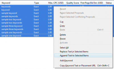 Google AdWords Editor: Append Text to Selected Items