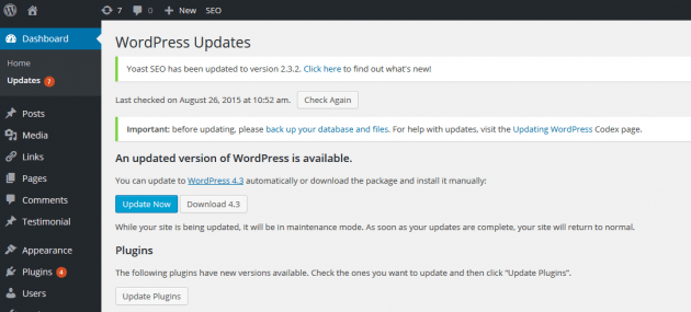 WordPress Updates Section